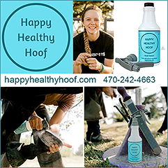 Happy Healthy Hooof Horse Hoof Cleaner
