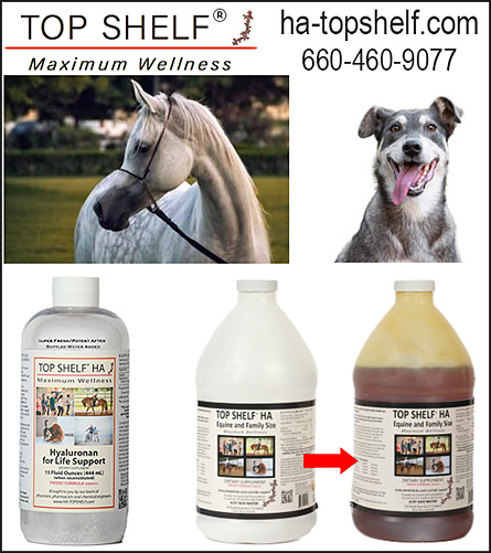 Hyaluronic Acid or HA Horse ans Dog Health Supplement