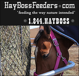 Hay Boss Pasture Horse Feeder