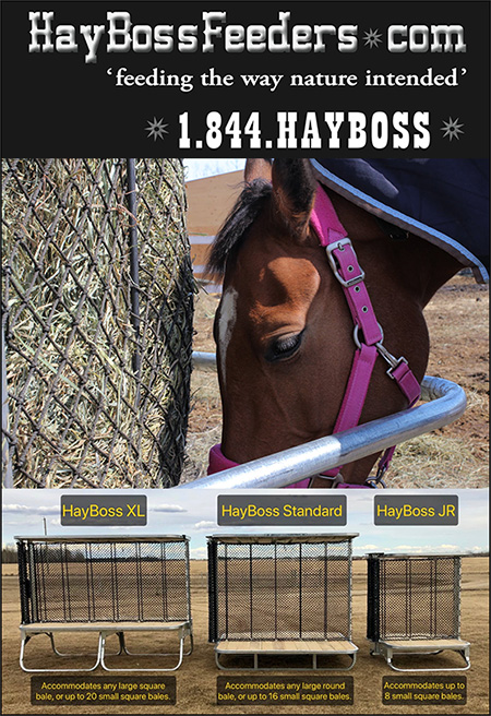 Hay Boss Horse Pasture Horse Feeders