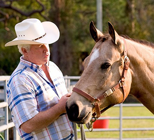 Taking care of horses nutritional requirements