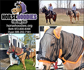 HorseHoodies Horse Insect mask,