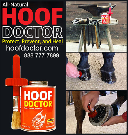 Hoof Tenderness and Horse Hoof Health Product by Hoof Doctor