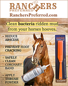HoofWand for safe horse hoof cleaning.
