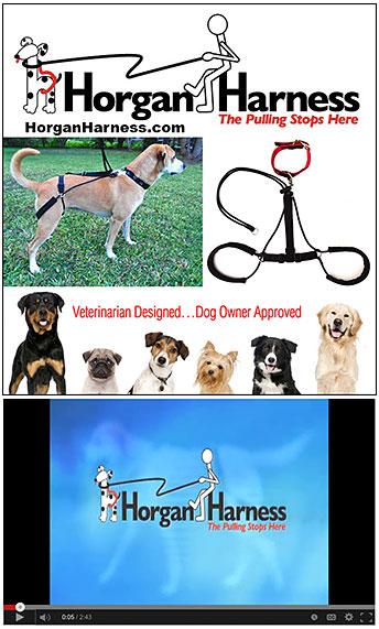 Dog Training Harness