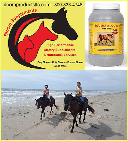 Bloom Horse Supplements