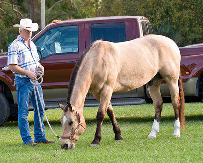 Bob Pruitt and his forever horse Dream.