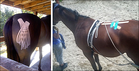 Equi-Taping