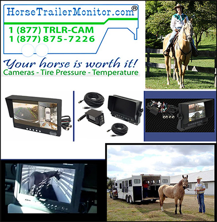 Horse Trailer Safety Monitor