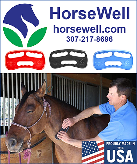 Horse Massage Tool by Horsewell
