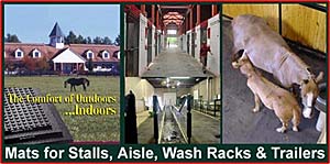Humane Manufacturing article