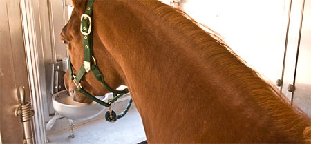 HydraHorse Horse Trailer Automatic Waterer