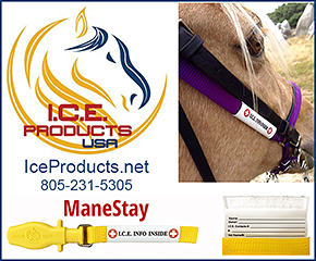 Emergency Horse I.D. Tags by I.C.E. Products