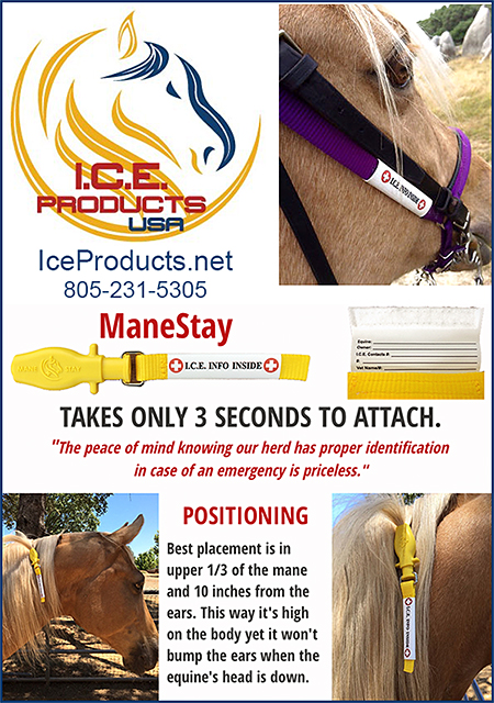 Horse Emergency Identification by ICE Products