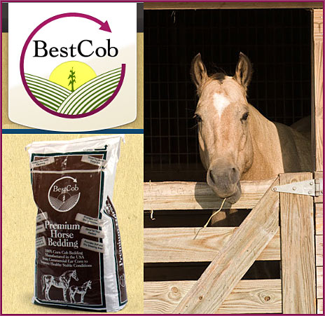 Show Equine Professional Company - What Is The Best Bedding For A Horse Show Equine Professional Company - What Is The Best Bedding For A Horse