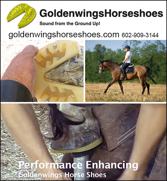 1 Pair GoldenWingsHorseShoes Golden Wings Horse Shoe Horse Shoe for Horses & Farrier 