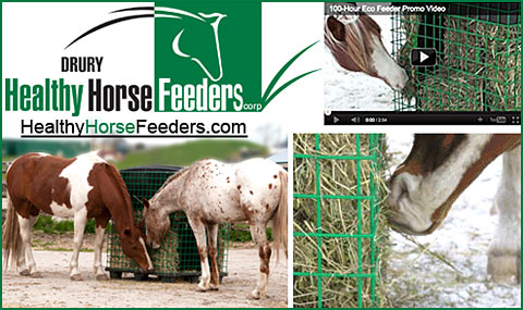 Show Equine Professional Company