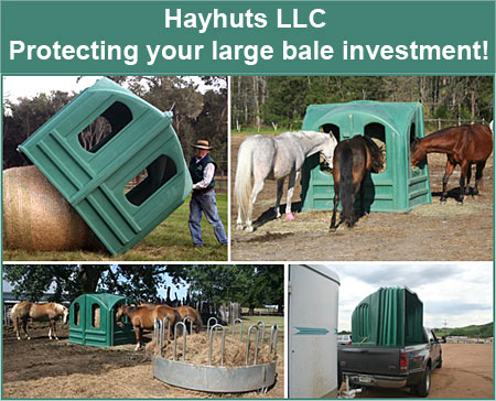 Show Equine Professional Company