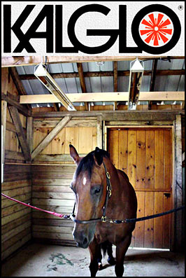 Kalglo Infrared Tube Livestock And Pet Heaters