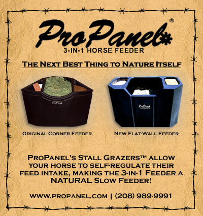 Show Equine Professional Company