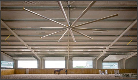 Preventing Heat Stress in Horses