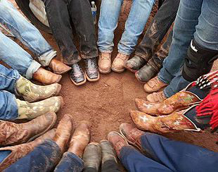 Follow Up with Horse Clinic Attendees