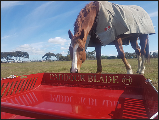 How to Remove Horse Manure from Your Pasture