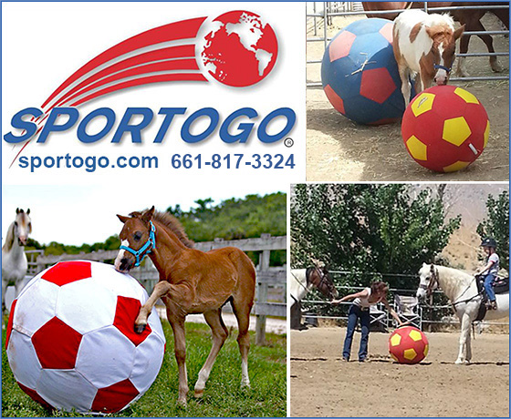 Durable Toys for Horses Create A Stimulating Environment