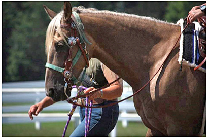 Take the lead - Developing Horse Riding Confidence