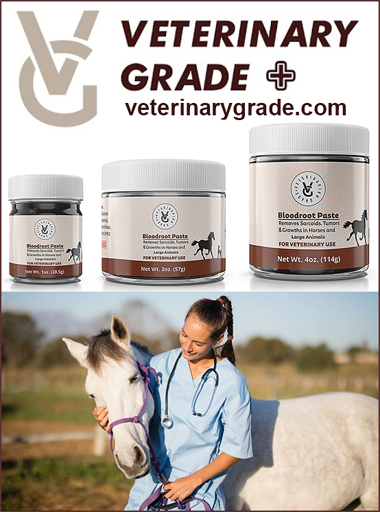 Article - Sarcoid Treatments for Horses