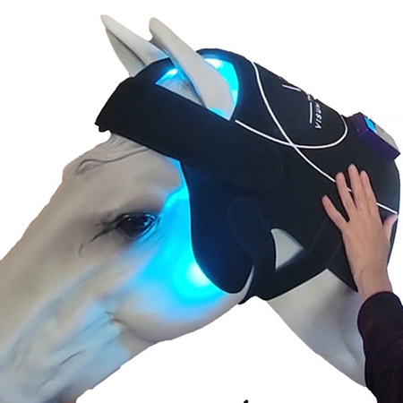 The Power of Full-Spectrum Light Therapy for Horses