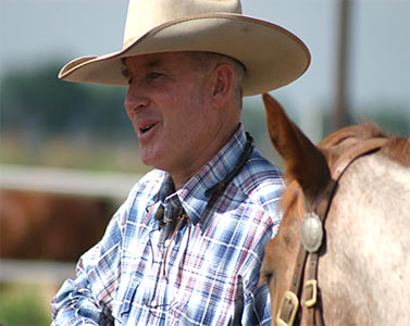 Acquiring Softness in Horse Training