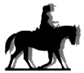 Horse Education School