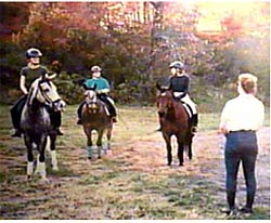 Learning about horses.