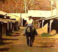 A student at school.