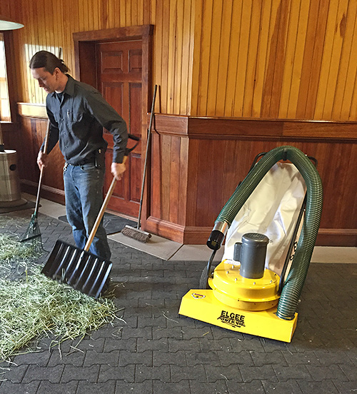 Clean Barn for Horse Health