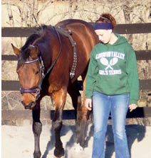 Ground Work Horse Training