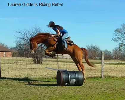 Jumping Tips for Western Riders