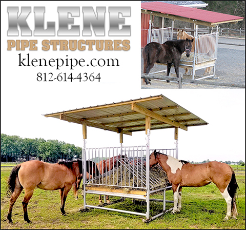 Klene Pipe Structures for Horses