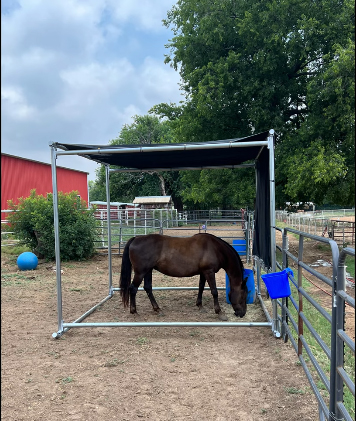 EWasy to Install Shade for Horses
