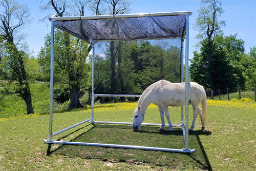 How To Keep Horses Cool In the Heat