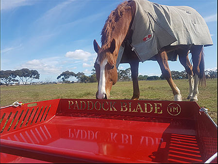 Manure Management for Healthy Horse Pastures