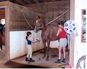 Teaching kids about horses.