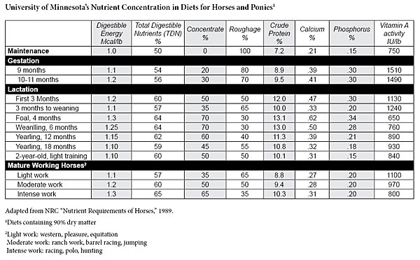Nutrient Concentration for Horse Diets