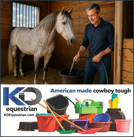 Set Up A Safe Efficient Horse Stall