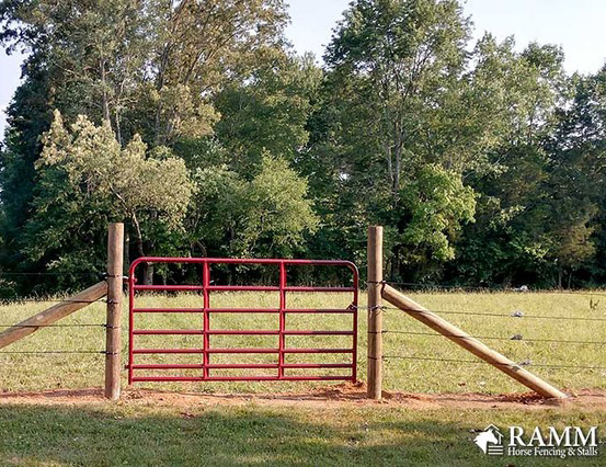 Safe gates are important for Foals and Broodmares.