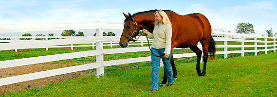 Three Spring Horse Fence Projects You Can Plan Now