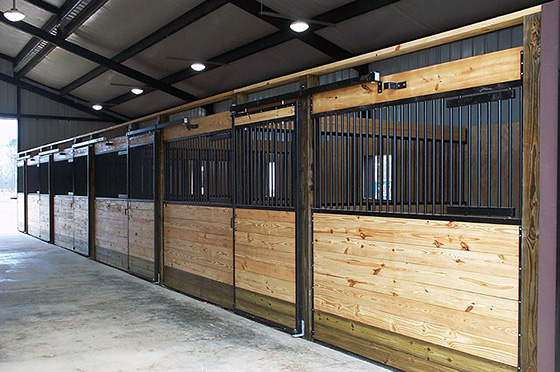 Provide plenty of ventilation for health horses.