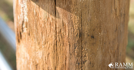 Fence Posts for Horse Fencing