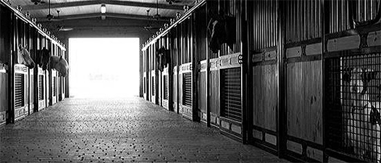 Horse Farm Repairs that Won't Break the Bank